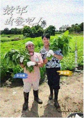 甜蜜惩罚观看顺序结尾伏笔回收节点